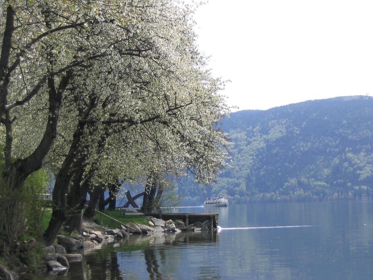 Camping Neubauer - Mobilheime Millstatt Kültér fotó