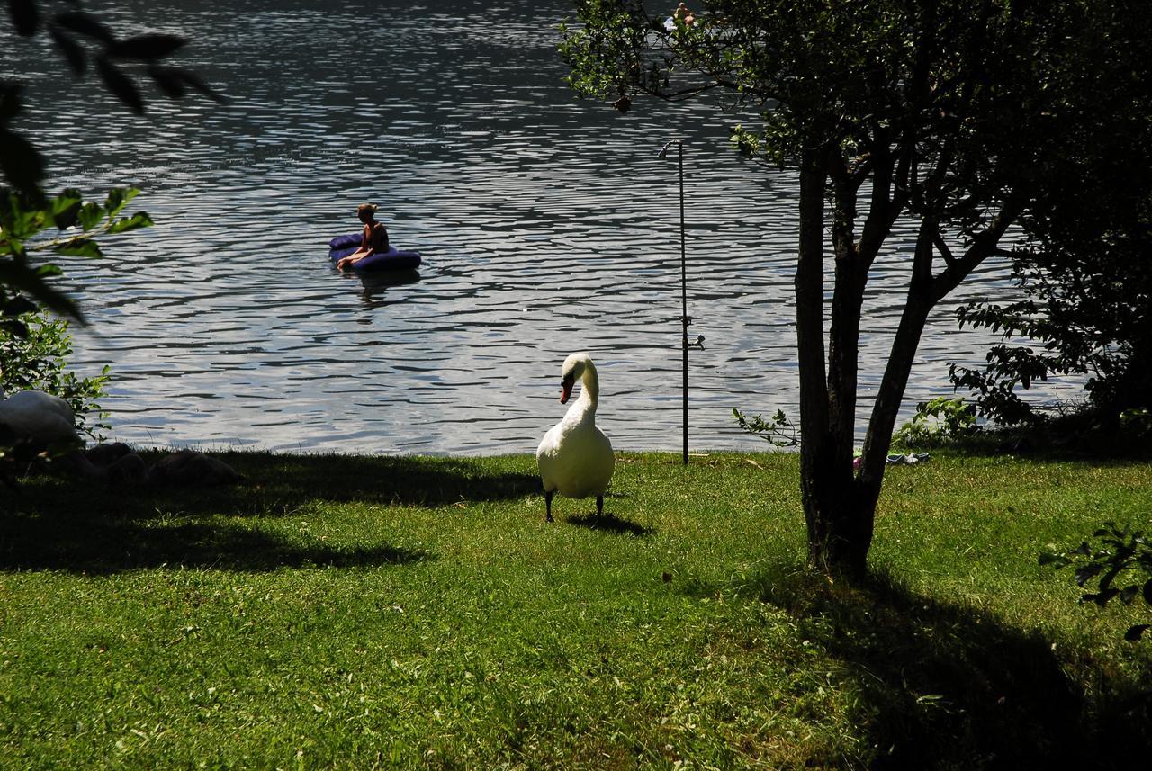 Camping Neubauer - Mobilheime Hotel Millstatt Kültér fotó