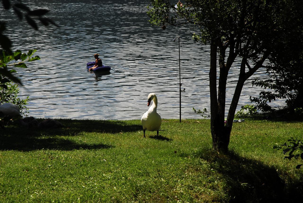 Camping Neubauer - Mobilheime Millstatt Kültér fotó
